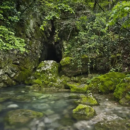 Apartma Uhanje Pri Bozicevih Apartmán *